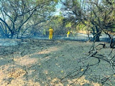 Brush fire burns empty lot in Kihei